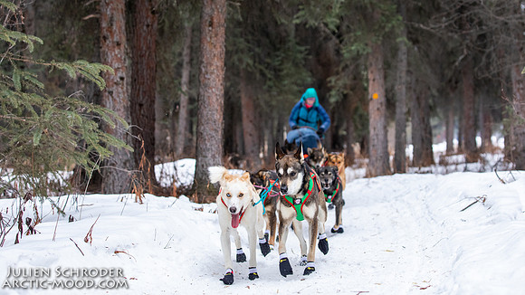Rohn-Iditarod2019-JSchroder_20190305_D4_4725