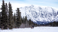 Rohn-Iditarod2019-JSchroder_20190304_D4_3968