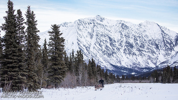 Rohn-Iditarod2019-JSchroder_20190304_D4_3968