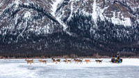 Rohn-Iditarod2019-JSchroder_20190304_D4_4105