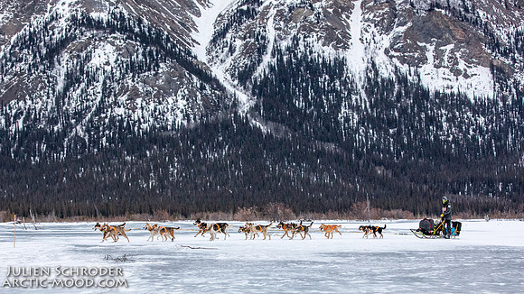 Rohn-Iditarod2019-JSchroder_20190304_D4_4105