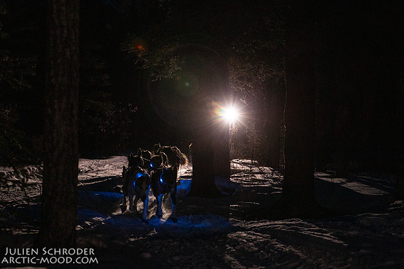 Rohn-Iditarod2019-JSchroder_20190304_D4_4280