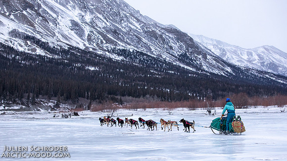 Rohn-Iditarod2019-JSchroder_20190305_D4_4414