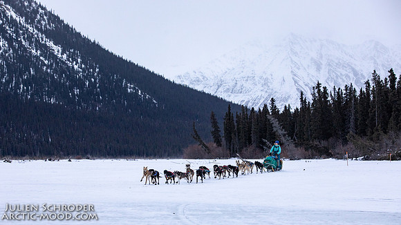 Rohn-Iditarod2019-JSchroder_20190305_D4_4403