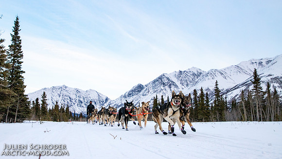 Rohn-Iditarod2019-JSchroder_20190304IMG_4055