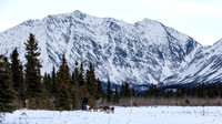 Rohn-Iditarod2019-JSchroder_20190304_D4_4011