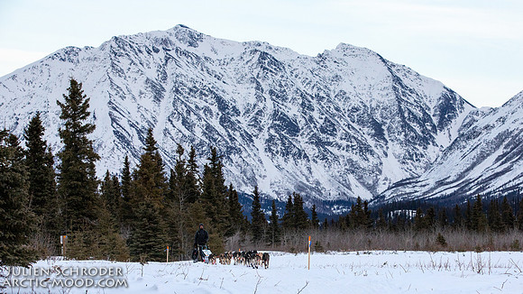 Rohn-Iditarod2019-JSchroder_20190304_D4_4011