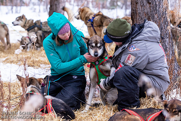 Rohn-Iditarod2019-JSchroder_20190305_D4_4632