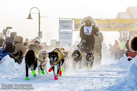 Whitehorse-YukonQuest2019-JSchroder20190202_D4_1114