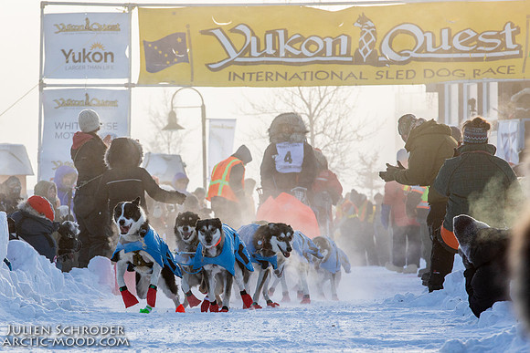 Whitehorse-YukonQuest2019-JSchroder20190202_D4_1126