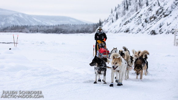 untitled-YukonQuest2019-JSchroder_20190206_D4_5353