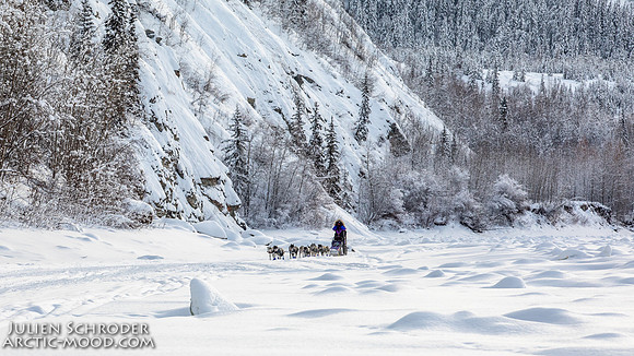 untitled-YukonQuest2019-JSchroder_20190207_D4_7622
