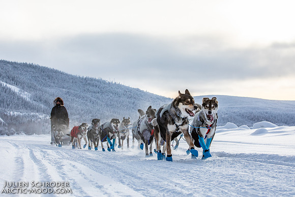 untitled-YukonQuest2019-JSchroder_20190207_D4_7666