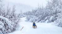 Dawson-YukonQuest2019-JSchroder_20190205IMG_7790
