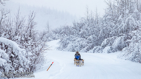 Dawson-YukonQuest2019-JSchroder_20190205IMG_7790