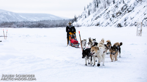 untitled-YukonQuest2019-JSchroder_20190206_D4_5351