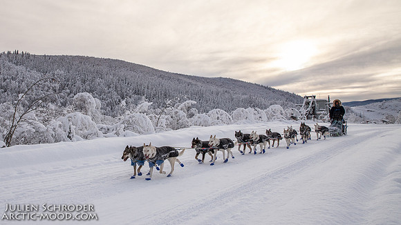 untitled-YukonQuest2019-JSchroder_20190206IMG_7819