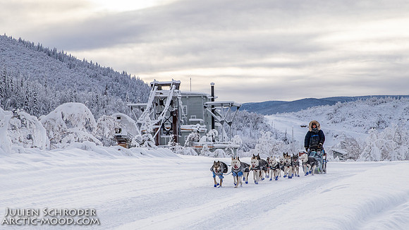 untitled-YukonQuest2019-JSchroder_20190206IMG_7809