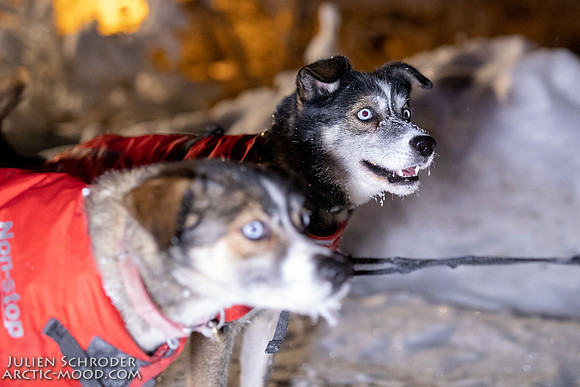 untitled-YukonQuest2019-JSchroder_20190206_D4_4718