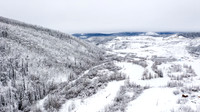 Dawson-YukonQuest2019-JSchroder_20190205DJI_0362