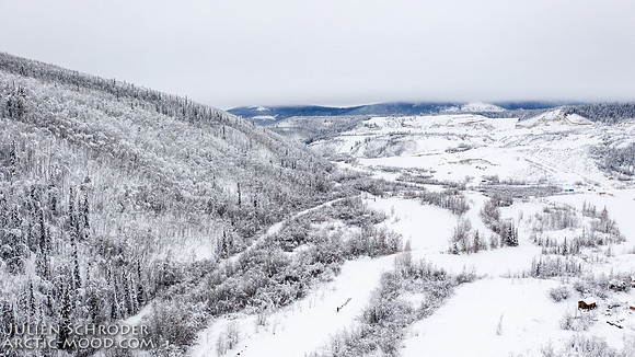 Dawson-YukonQuest2019-JSchroder_20190205DJI_0362