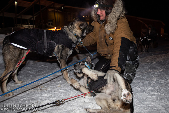 untitled-YukonQuest2019-JSchroder_20190206_D4_4939