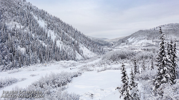 untitled-YukonQuest2019-JSchroder_20190206DJI_0540