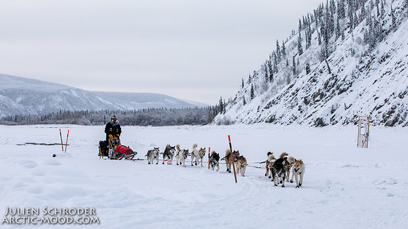 untitled-YukonQuest2019-JSchroder_20190206_D4_5346
