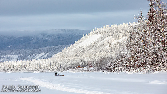 untitled-YukonQuest2019-JSchroder_20190207_D4_7691