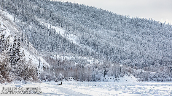 untitled-YukonQuest2019-JSchroder_20190207_D4_7651