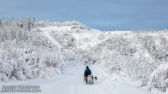 untitled-YukonQuest2019-JSchroder_20190206_D4_5203