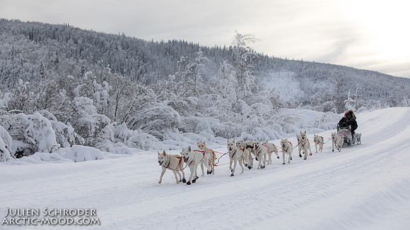 untitled-YukonQuest2019-JSchroder_20190206_D4_5097
