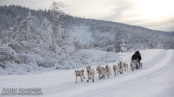 untitled-YukonQuest2019-JSchroder_20190206_D4_5093