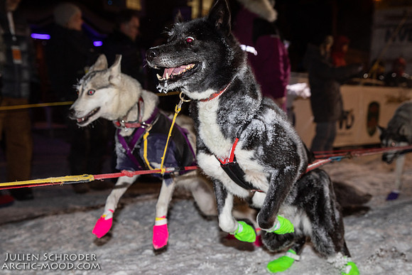 untitled-YukonQuest2019-JSchroder_20190206_D4_4884