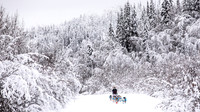 Dawson-YukonQuest2019-JSchroder_20190205_D4_4339