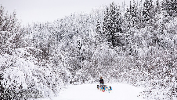 Dawson-YukonQuest2019-JSchroder_20190205_D4_4339