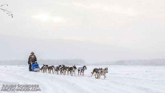 Dawson-YukonQuest2019-JSchroder_20190205_D4_4471