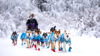 Dawson-YukonQuest2019-JSchroder_20190205_D4_4346