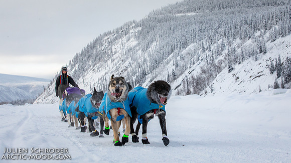 untitled-YukonQuest2019-JSchroder_20190207_D4_7597