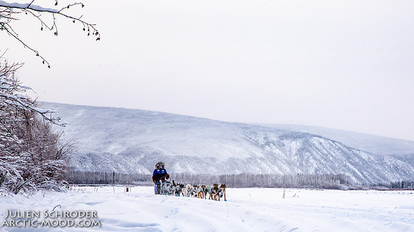 Dawson-YukonQuest2019-JSchroder_20190205_D4_4428