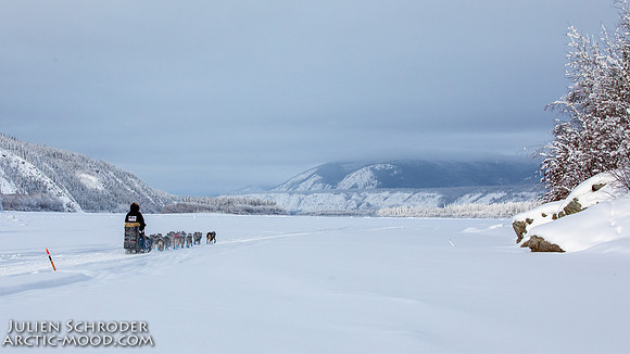 untitled-YukonQuest2019-JSchroder_20190207_D4_7676