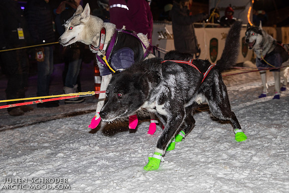 untitled-YukonQuest2019-JSchroder_20190206_D4_4883