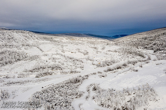 untitled-YukonQuest2019-JSchroder_20190206DJI_0409