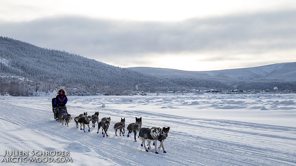 untitled-YukonQuest2019-JSchroder_20190207IMG_9818
