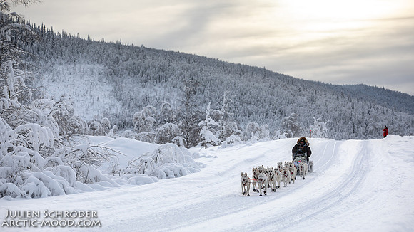 untitled-YukonQuest2019-JSchroder_20190206_D4_5084