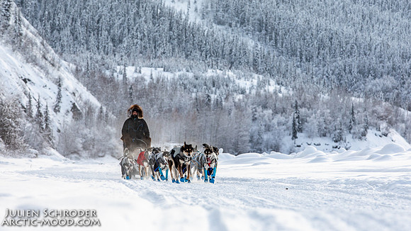 untitled-YukonQuest2019-JSchroder_20190207_D4_7656