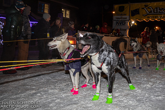 untitled-YukonQuest2019-JSchroder_20190206_D4_4872
