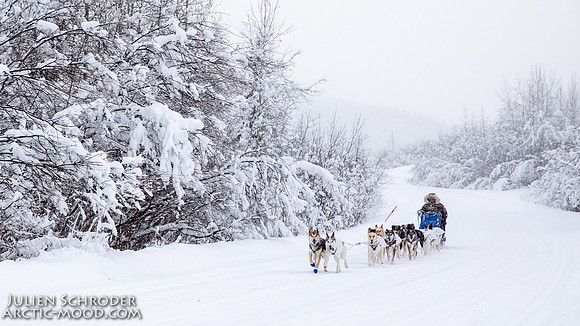 Dawson-YukonQuest2019-JSchroder_20190205_D4_4446