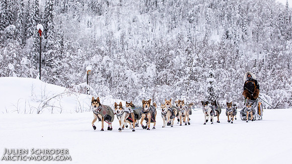 Dawson-YukonQuest2019-JSchroder_20190205_D4_4392
