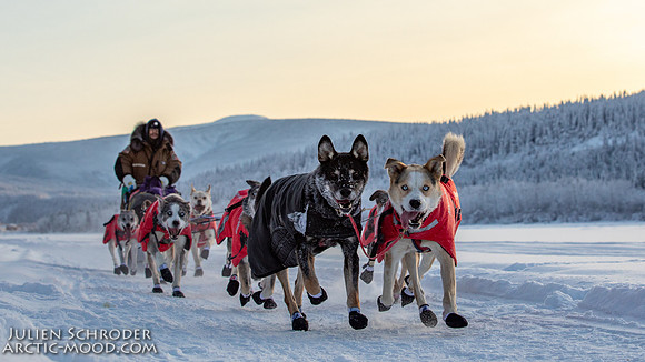 untitled-YukonQuest2019-JSchroder_20190207_D4_7720